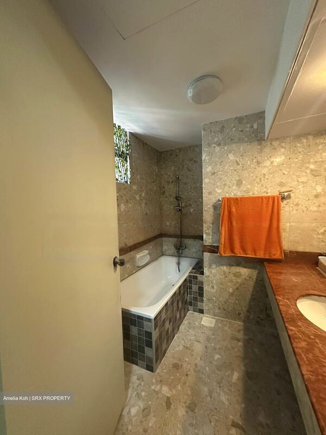 Estella Gardens (D17), Condominium #465147451